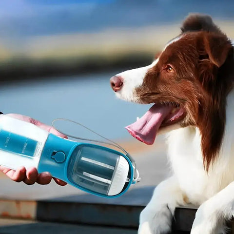 Three-in-one Portable Small Multi-functional Pet  Water Drinking Cups with Garbage Bag
