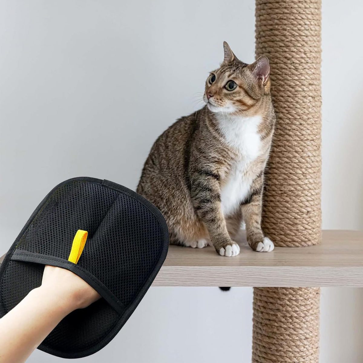 Electrostatic pet hair remover glove reversible mitt - photo 8